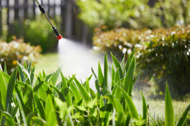 24/7 Emergency Wasp Removal experts in Elmwood, IL