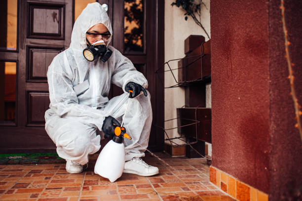 Reliable Wasp Removal contractor in Elmwood, IL by Show Me Pest Control